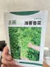 北蔬茼蒿菜种子苗大叶茼蒿皇帝菜家庭阳台蔬菜籽 大叶茼蒿种子15gx2包 实拍图