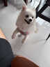 乔安（JOOAN）高清监控摄像头室外家用监控无线wifi监控器360度无死角带夜视全景旋转云台户外家用手机远程AI 实拍图