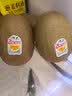 佳沛（zespri）新西兰 阳光金果25-27粒原箱特大果单果124-146g 猕猴桃水果礼盒 实拍图