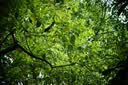 索尼（SONY）DSC-RX100M7 黑卡数码相机（24-200mm焦段  4K视频) RX100M7 黑卡7 黑卡7 实拍图