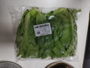 罗马生菜约500g 实拍图