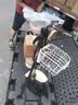 飞鸽电动自行车 E75Plus2026款新国标电动车长续航80KM铅酸电池48V21Ah智能家用电瓶车可上牌漫步白 实拍图