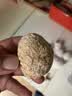 魏尔夫变蛋皮蛋河南特产无铅溏心皮蛋黄心皮松花蛋鸡蛋早餐零食20枚*50g 实拍图