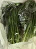 大菠菜300g 实拍图