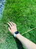 Apple/苹果 Watch S11 智能手表GPS款42毫米玫瑰金色铝金属表壳淡桃粉色运动型表带S/M MEUN4CH/B 实拍图