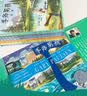 手斧男孩（套装6册）随书赠送求生伞绳手链一条 课外阅读 阅读 课外书  实拍图