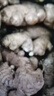 京鲜生云南小黄姜 净重5斤 新姜生姜 新鲜现挖 单果 30g+源头直发包邮 实拍图