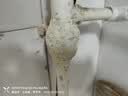 非凡力水管补漏胶专用修补水管对接头密封暖气片补漏管道pvc下水道口密封堵漏胶防水补漏神器一支85g 实拍图
