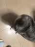 米奇旋风10合1猫咪复合维生素片60g*1 猫用维生素b营养片宠物营养补充剂 实拍图