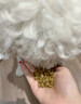 疯狂小狗狗粮幼犬成犬全价粮10kg 金毛泰迪中大型小型通用鸭肉梨20斤 实拍图