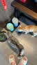 领先成猫尝鲜礼包主食级烘焙猫粮猫条餐盒汤包（新老款随机发货） 实拍图