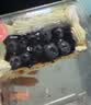 【减糖配方】大蓝莓盒子蛋糕400g 实拍图