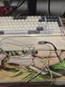 唐麦（Tonemay）凌霄HiFi游戏耳机有线入耳式三角洲行动FPS电竞专用耳机听声辨位发烧级可换线 type-c转3.5mm带麦 实拍图