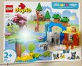 乐高（LEGO）积木得宝10446 三合一野生动物集合男女孩儿童玩具生日礼物大颗粒 实拍图