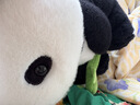 威露士清可新洗衣液松木香4斤组合装（瓶1L+袋装500ml*2）除菌除螨留香 实拍图