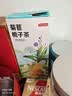 京东京造菊苣栀子茶150g(5g*30袋)泡水喝养生茶茶叶团购 实拍图