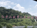 TSC台半TTP-244Pro条码标签打印机不干胶二维码固定资产吊牌合格证价签水洗唛碳带热转印打印机 台半244Pro【标签纸+碳带+支架】 实拍图
