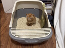 汪野君防外溅猫砂盆半封闭顶入猫厕猫屎盆猫砂铲猫沙盆大号带卡通猫砂垫 实拍图