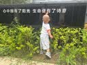 布班迪【透明溯源】山茶花花芯裤拉拉裤XXL22片超薄透气男女通用尿不湿 实拍图
