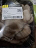 房山平菇300g 实拍图