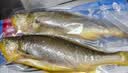 1号会员店（One's Member）冷冻宁德三去黄花鱼 大黄鱼700g/2条装 生鲜水产鱼类 实拍图