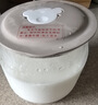 小熊（Bear）酸奶机 家用全自动希腊酸奶奶酪米酒机酸奶发酵菌玻璃内胆陶瓷分杯 SNJ-C10V3 实拍图