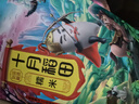 十月稻田 糯米 5斤 东北圆粒糯米 五谷杂粮米 包粽子糯米粉 酿米酒 实拍图