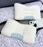 红豆A类抗菌枕头枕芯护颈枕睡眠颈椎病深度睡觉专用低枕48*74cm一对装 实拍图