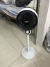 扬子（YANGZI）电风扇家用落地扇空气循环扇节能制冷宿舍卧室办公室冷风扇大风力摇头台立两用节能 【升级电机+左右摇头】-升级圆头款 实拍图