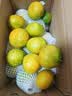 京鲜生【夏季限定】云南青皮蜜桔酸桔子净重4.5斤单果55mm+源头直发包邮 实拍图