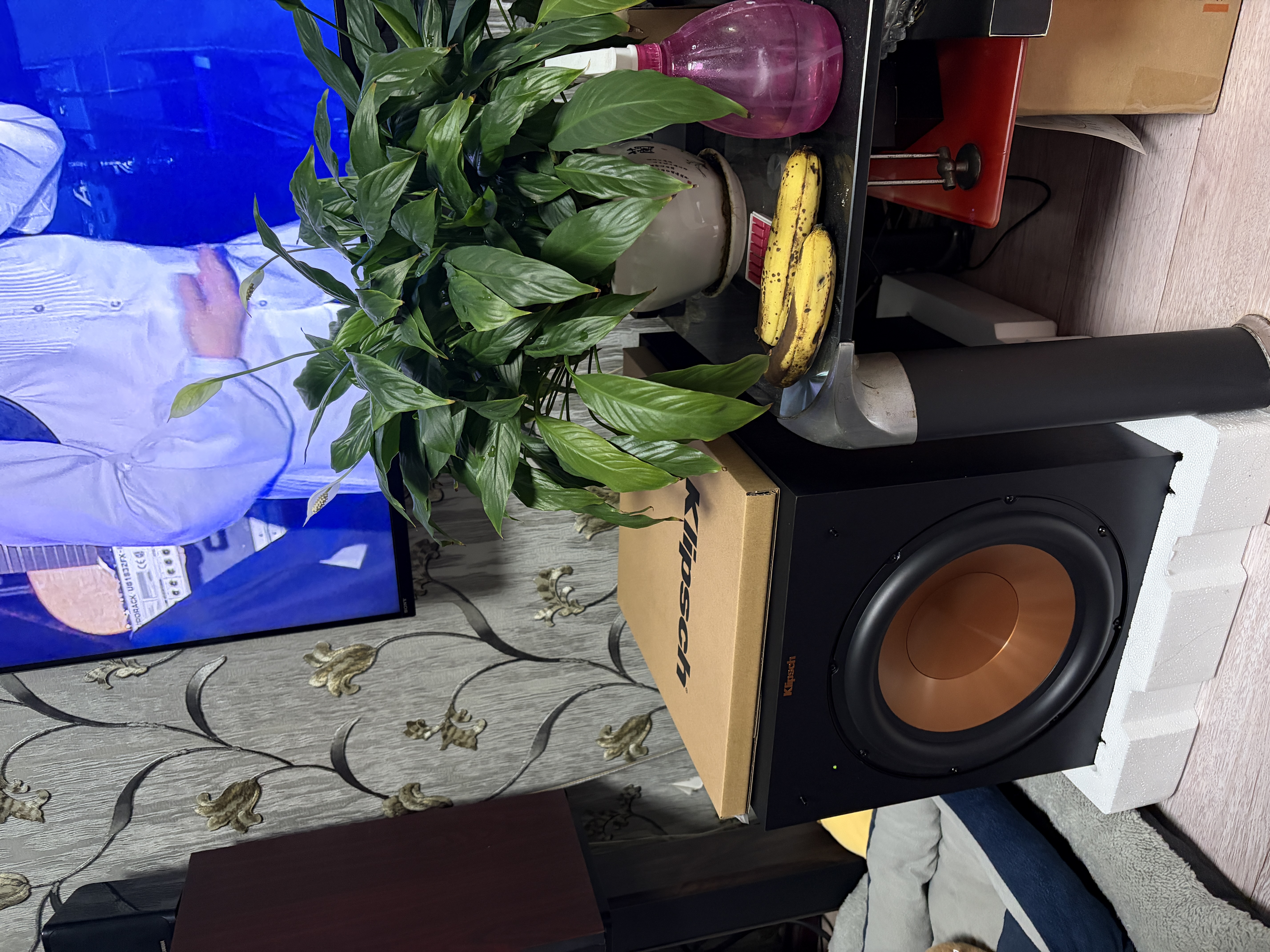 杰士（Klipsch）R-12SW 家庭影院音响 音箱 12寸木质有源低音炮 家庭影院重低音音响（黑色） 实拍图