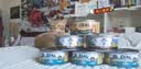 ZEAL【试吃尝鲜】猫猫罐头85g羊肉帝王鲑口味 猫湿粮新西兰原装进口 实拍图