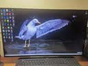 戴尔（DELL）27英寸2K IPS硬件防蓝光 144Hz 99%sRGB 65w Type-C 双音响 旋转升降电脑显示屏 S2725DC 实拍图