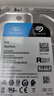 希捷（SEAGATE）监控硬盘 6TB 256MB SATA CMR垂直 机械硬盘 视频储存 数据恢复服务 希捷酷鹰 3.5英寸ST6000VX008 实拍图