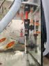 森森（SUNSUN）鱼缸加热棒自动恒温水族箱防爆加热器鱼缸水族用品 高硼硅玻璃50W(18cm长) 实拍图