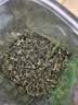 印象堂茶叶铁观音一级茶叶500g袋装祥华乡原产2026新茶乌龙茶自己喝 实拍图