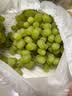 京地达新疆无核白葡萄原框净重4.5斤单果3g+京东自营水果源头直发包邮 实拍图