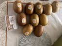 佳沛（zespri）新西兰阳光金奇异果10粒巨大果单果146-175g 猕猴桃水果礼盒 实拍图