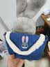 迪士尼（Disney）疯狂动物城朱迪斜挎包兔子玩偶包毛绒玩具生日七夕情人节礼物女孩 实拍图
