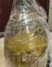 欧丽薇兰Olivoila【保真橄榄油】食用油 纯正橄榄油2.5L 实拍图