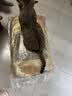 比瑞吉优选系列冻干肉草本颗粒（山楂+荷叶）苜蓿12kg 室内成猫猫粮1岁+ 实拍图