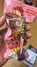德州扒鸡山东特产熟食零食休闲食品独立包装五香味德州扒鸡大鸡腿65g*14 实拍图
