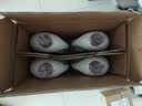 卫新香薰洗衣液薰衣草34.08斤全瓶组合套装(4.26kg*4）【品质严选】 实拍图