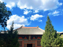 新东方2026年12月大学英语四级考试词汇词根+联想记忆法 乱序版 正序版 便携 大学英语4级考试超详解真题+模拟  46级英语词汇 四六级词汇书备考资料 【全8册】真题+专项+词汇乱序+学练测+晨读 实拍图