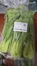 上海青约500g(油菜) 实拍图