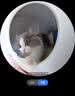 N1 爱宠爱猫n1玉米纯豆腐猫砂6.5kg*3包 大包装植物砂升级2.0mm颗粒 可冲厕所 实拍图