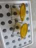 网红咸菜碗玻璃密封罐加厚酱菜盒冰箱保鲜罐小菜泡菜罐分装盒 两只随机装 2个 180ml 实拍图