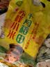 十月稻田 赤峰小米 1kg 内蒙古敖汉旗 黄小米杂粮 小米黄小米 实拍图