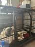 北鼻狗【升级全管加强 】狗笼中型犬大型犬狗笼子宠物狗狗笼子金毛用品 六面全管-95*65*85CM 建议60斤内 实拍图