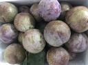 小土豆（potato）儿童水杯PP牛奶杯直饮吸管杯幼儿园开学2岁以上 330ml星芒蓝 实拍图